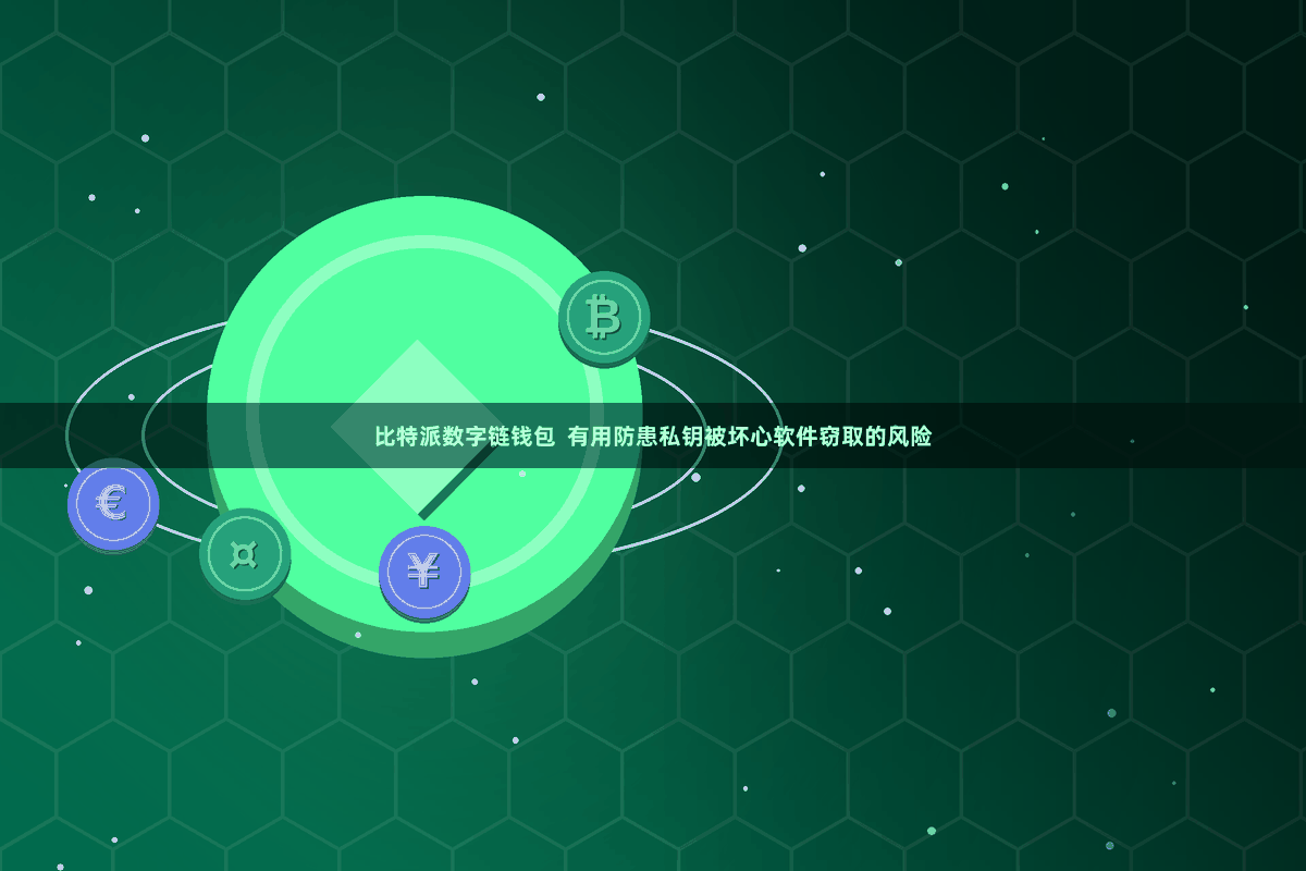 比特派数字链钱包  有用防患私钥被坏心软件窃取的风险